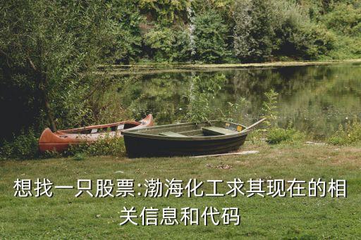 想找一只股票:渤?；で笃洮F(xiàn)在的相關(guān)信息和代碼