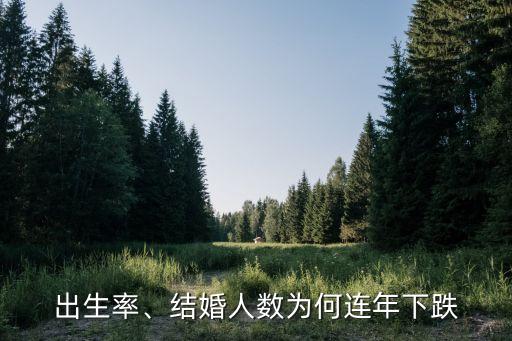 出生率、結(jié)婚人數(shù)為何連年下跌