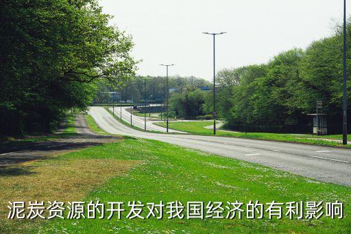 中國ppi權重,PPI權重 多久調整