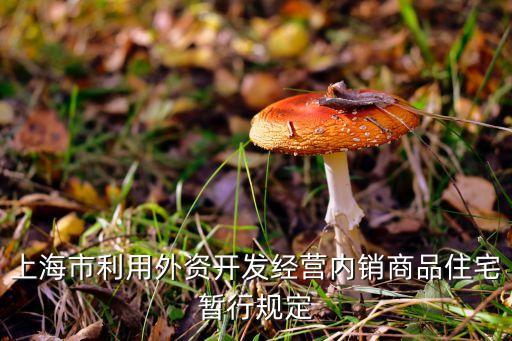 上海市利用外資開(kāi)發(fā)經(jīng)營(yíng)內(nèi)銷商品住宅暫行規(guī)定