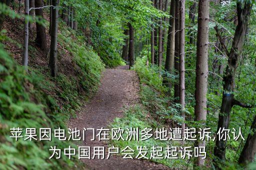 蘋果因電池門在歐洲多地遭起訴,你認為中國用戶會發(fā)起起訴嗎