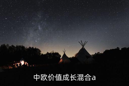 中歐價(jià)值成長混合a