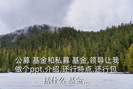  公募 基金和私募 基金,領(lǐng)導讓我做個ppt,介紹,還行特點,還行包括什么 基金...