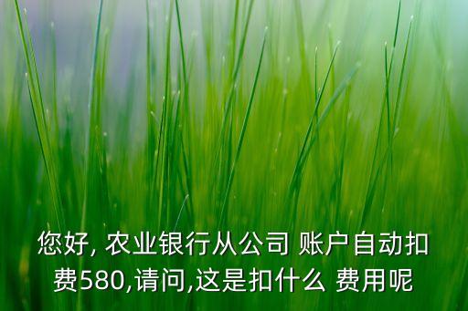 您好, 農(nóng)業(yè)銀行從公司 賬戶自動(dòng)扣費(fèi)580,請(qǐng)問(wèn),這是扣什么 費(fèi)用呢