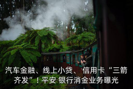 汽車(chē)金融、線上小貸、 信用卡“三箭齊發(fā)”! 平安 銀行消金業(yè)務(wù)曝光