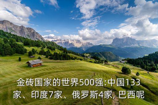 金磚國家的世界500強(qiáng):中國133家、印度7家、俄羅斯4家, 巴西呢