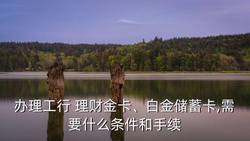 辦理工行 理財(cái)金卡、白金儲蓄卡,需要什么條件和手續(xù)