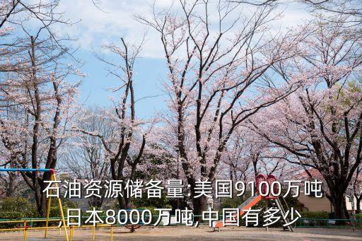  石油資源儲(chǔ)備量:美國9100萬噸,日本8000萬噸,中國有多少
