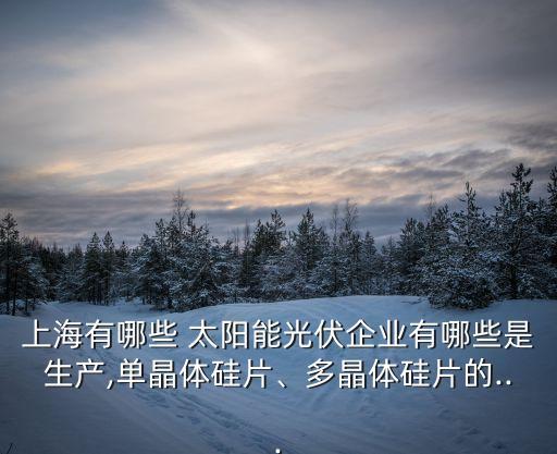 上海有哪些 太陽能光伏企業(yè)有哪些是生產(chǎn),單晶體硅片、多晶體硅片的...