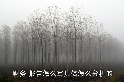 蘇寧云商集團(tuán)股份有限公司財務(wù)會計(jì)報告分析