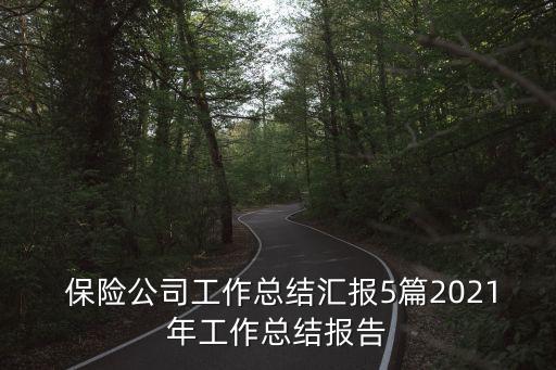  保險公司工作總結匯報5篇2021年工作總結報告