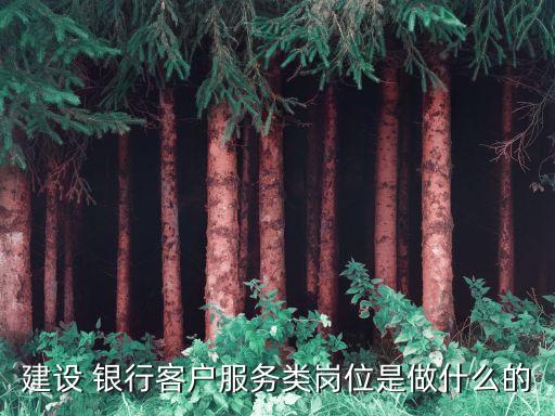 建設(shè) 銀行客戶服務(wù)類(lèi)崗位是做什么的