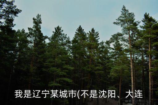 我是遼寧某城市(不是沈陽、大連
