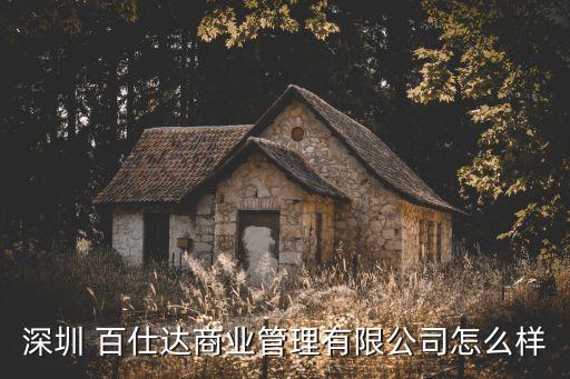 百仕達(dá)控股集團