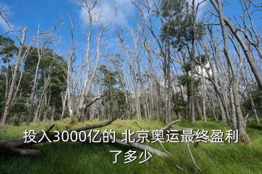 北京奧運(yùn)會(huì)史上最賺錢(qián),2008年北京奧運(yùn)會(huì)賺錢(qián)還是虧
