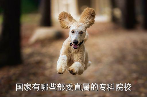 國(guó)家有哪些部委直屬的專(zhuān)科院校
