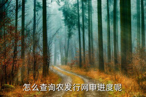 怎么查詢(xún)農(nóng)發(fā)行網(wǎng)申進(jìn)度呢