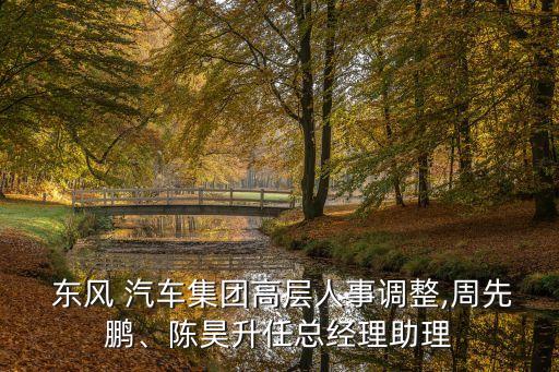  東風(fēng) 汽車集團(tuán)高層人事調(diào)整,周先鵬、陳昊升任總經(jīng)理助理