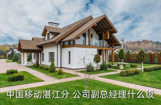 中國移動(dòng)湛江分 公司副總經(jīng)理什么級