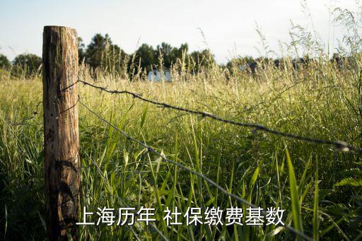 2012社保基金總額,社?；鹂傤~是什么意思
