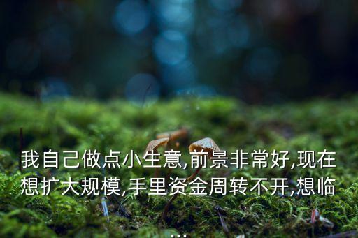我自己做點小生意,前景非常好,現在想擴大規(guī)模,手里資金周轉不開,想臨...
