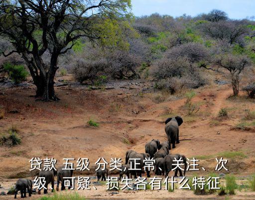  貸款 五級 分類,正常、關(guān)注、次級、可疑、損失各有什么特征
