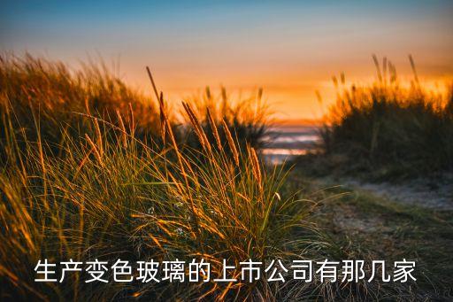 生產變色玻璃的上市公司有那幾家