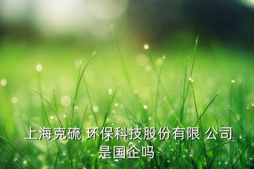  上?？肆?環(huán)?？萍脊煞萦邢?公司是國企嗎
