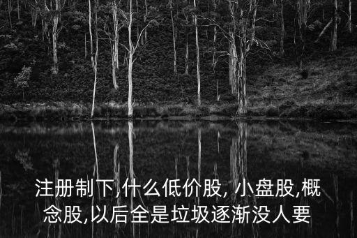 注冊(cè)制下,什么低價(jià)股, 小盤股,概念股,以后全是垃圾逐漸沒(méi)人要