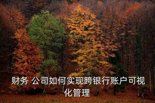  財務 公司如何實現(xiàn)跨銀行賬戶可視化管理