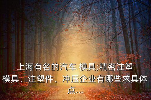  上海有名的汽車 模具;精密注塑 模具、注塑件、沖壓企業(yè)有哪些求具體點...