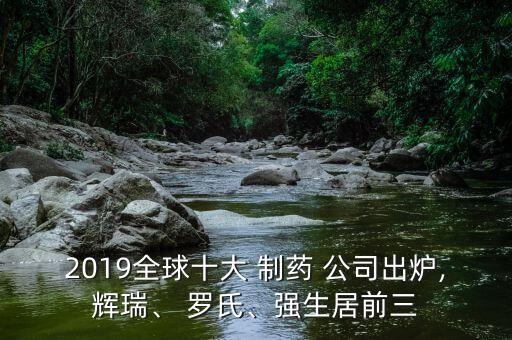 2019全球十大 制藥 公司出爐,輝瑞、 羅氏、強(qiáng)生居前三