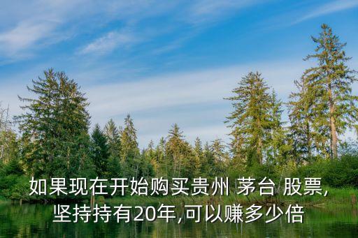如果現在開始購買貴州 茅臺 股票,堅持持有20年,可以賺多少倍