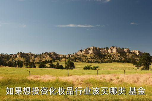 如果想投資化妝品行業(yè)該買(mǎi)哪類(lèi) 基金