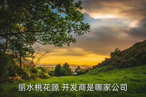 內(nèi)蒙古大和房地產(chǎn)開(kāi)發(fā)有限公司,泰安市大和房地產(chǎn)開(kāi)發(fā)有限公司