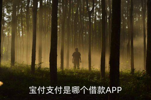 寶付支付是哪個借款APP