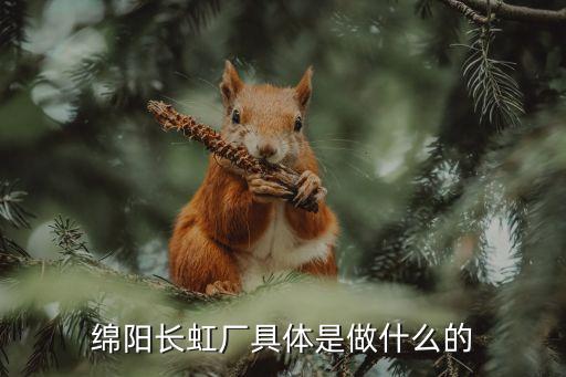 國虹通訊數碼集團有限責任公司