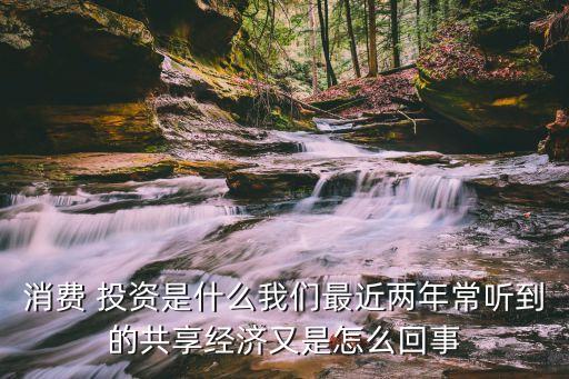 消費 投資是什么我們最近兩年常聽到的共享經濟又是怎么回事