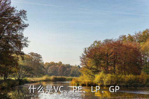 什么是VC、PE、LP、GP