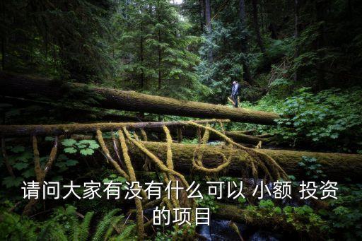 請問大家有沒有什么可以 小額 投資的項(xiàng)目
