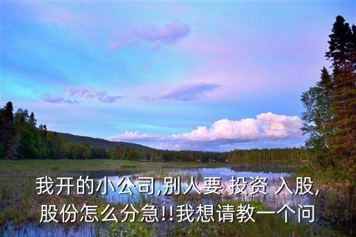 我開的小公司,別人要 投資 入股,股份怎么分急!!我想請(qǐng)教一個(gè)問(wèn)