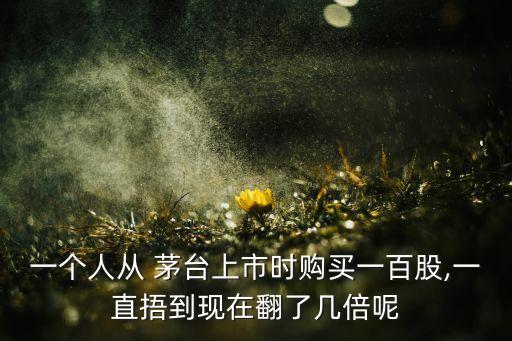 一個人從 茅臺上市時購買一百股,一直捂到現在翻了幾倍呢