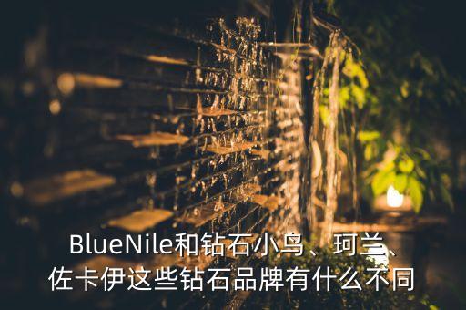 BlueNile和鉆石小鳥、珂蘭、佐卡伊這些鉆石品牌有什么不同