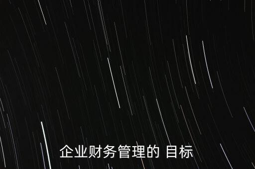 企業(yè)財務(wù)管理的 目標(biāo)