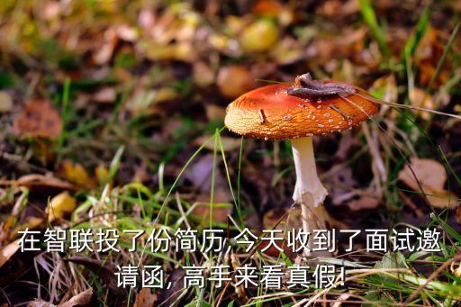 在智聯投了份簡歷,今天收到了面試邀請函, 高手來看真假!
