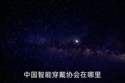 藍(lán)海國(guó)際控股有限公司,深圳中電藍(lán)?？毓捎邢薰靖笨偨?jīng)理