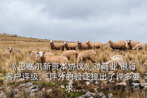 《巴塞爾新資本協(xié)議》對商業(yè) 銀行 客戶評級、 評分的驗證提出了許多要求...