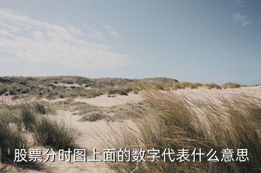  股票分時圖上面的數字代表什么意思