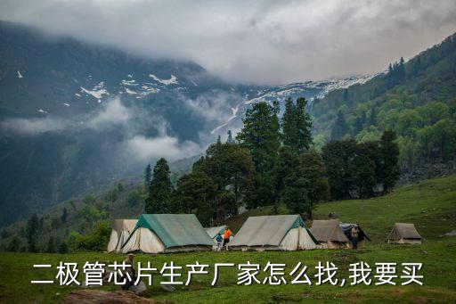 二極管芯片生產(chǎn)廠家怎么找,我要買(mǎi)
