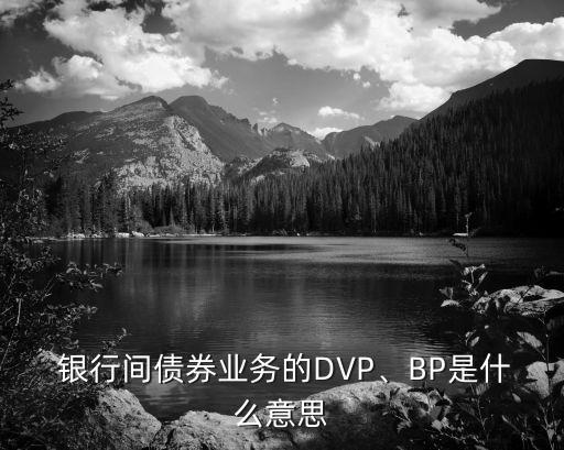  銀行間債券業(yè)務的DVP、BP是什么意思